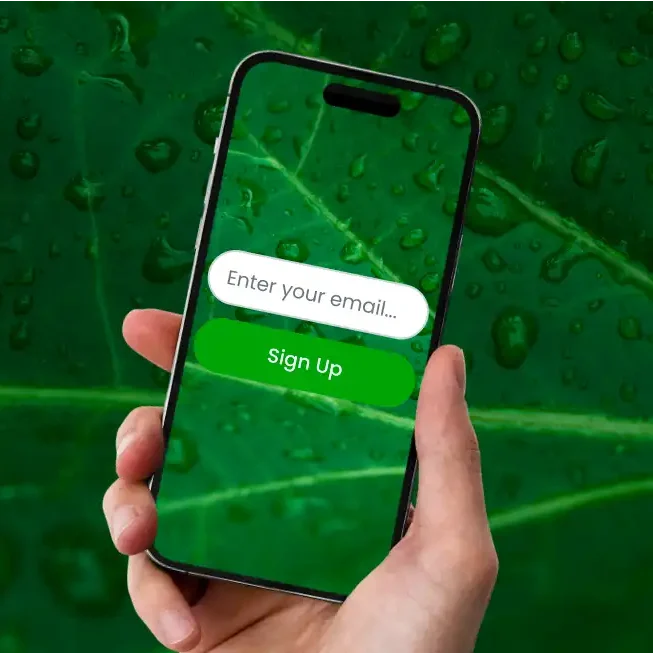 rm-form-phone-img